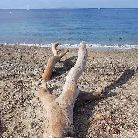 Villa Avec Piscine Proche Des Plages La Croix-Valmer