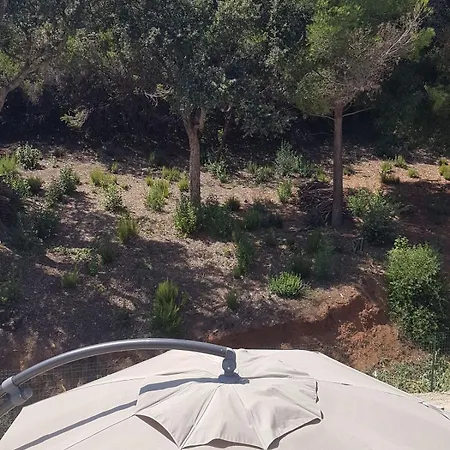 Villa Avec Piscine Proche Des Plages La Croix-Valmer
