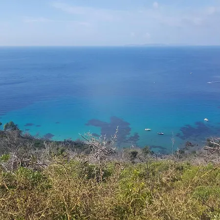 Avec Piscine Proche Des Plages * La Croix-Valmer